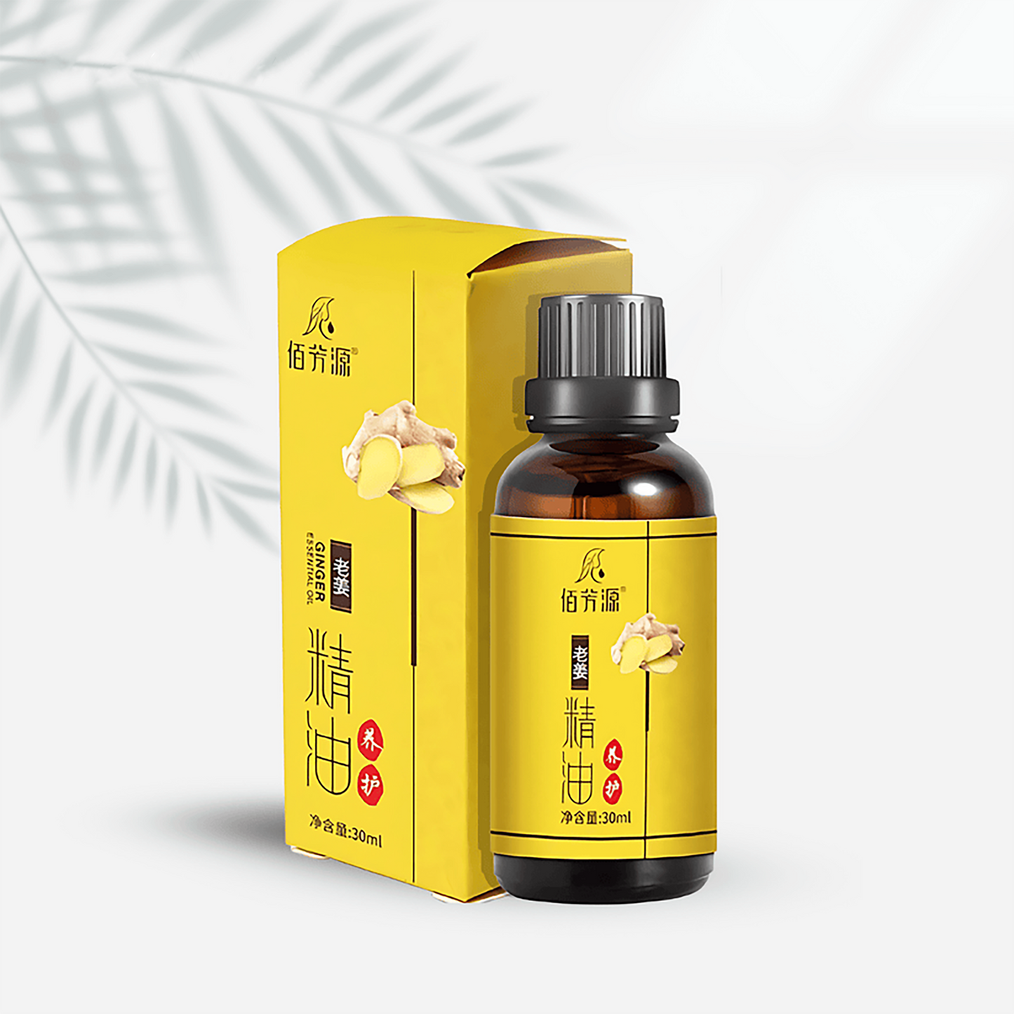 Ginger Massage Oil 30ml
