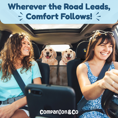 Cozynic™ Hard Bottom Car Seat Cover