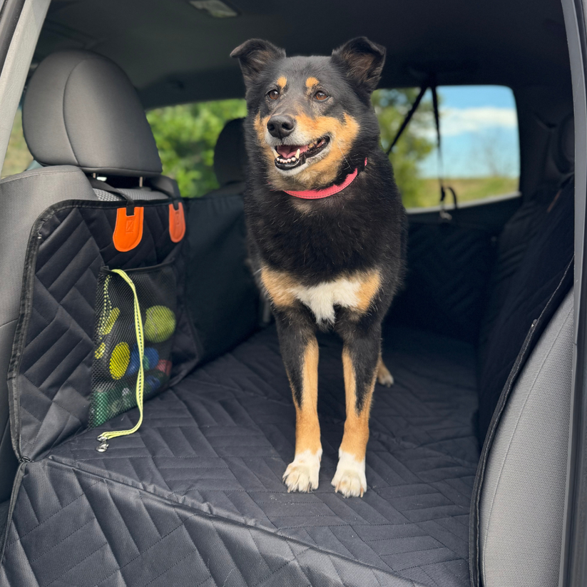 Cozynic™ Hard Bottom Car Seat Cover